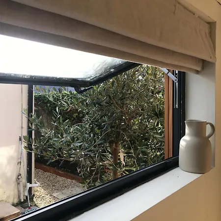 Your Basecamp * دبلن